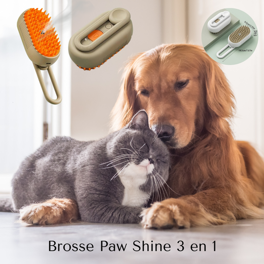 Brosse Vapeur Paw Shine pour chat et chien